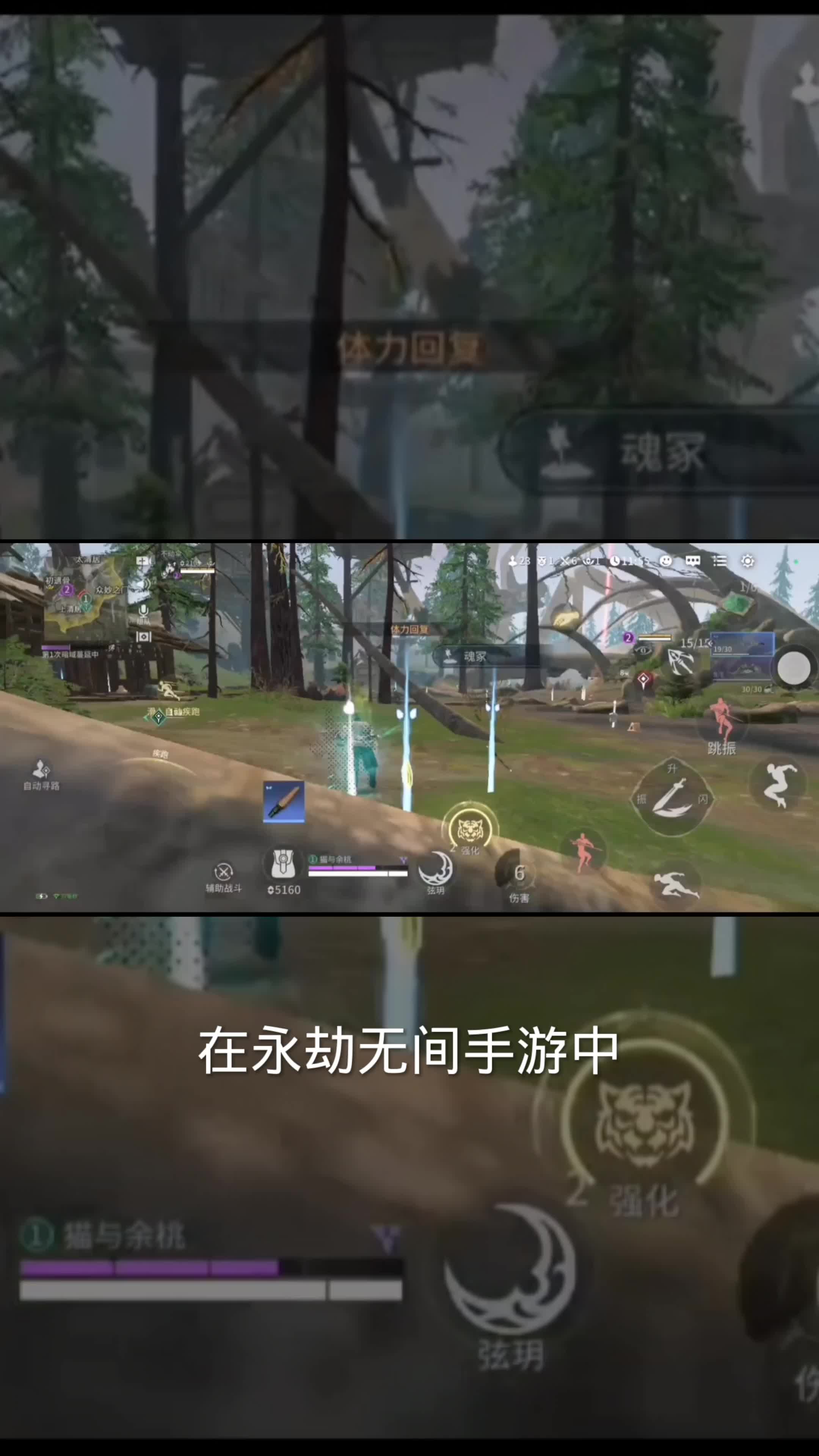 格斗技巧：掌握專業技能組成：