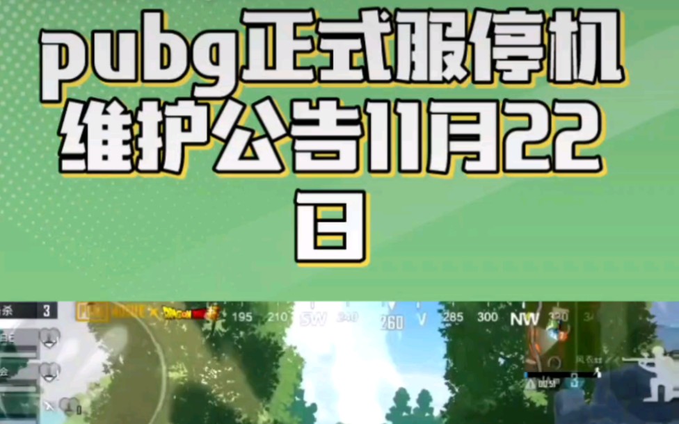 社區互動與反饋