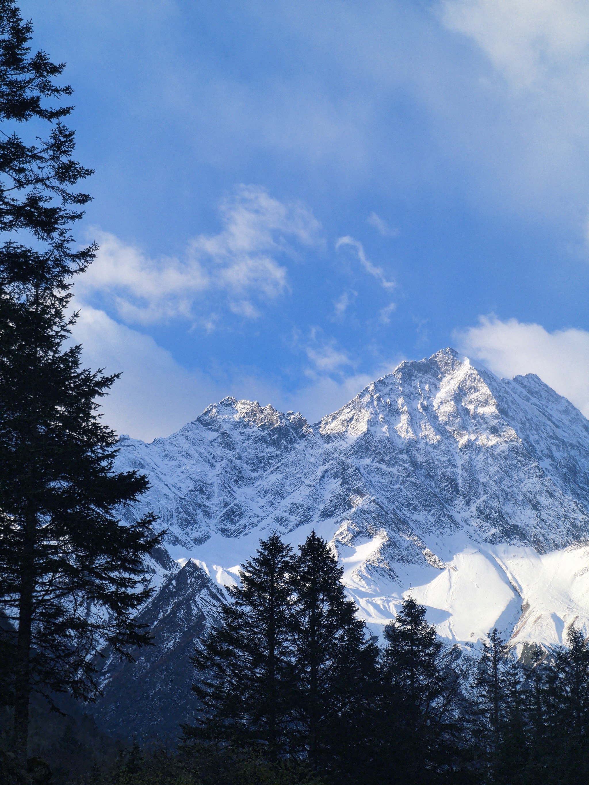 翠綠色五星紅旗背后的游戲社區