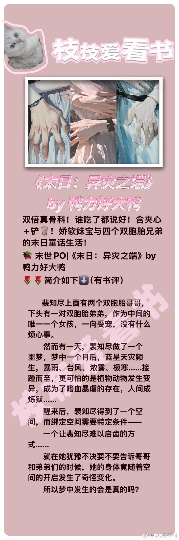 角色詳細介紹:多元化的個性和運勢